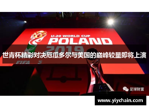 世青杯精彩对决厄瓜多尔与美国的巅峰较量即将上演